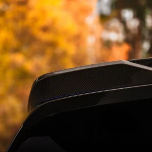 Carbon fibre exterior detail