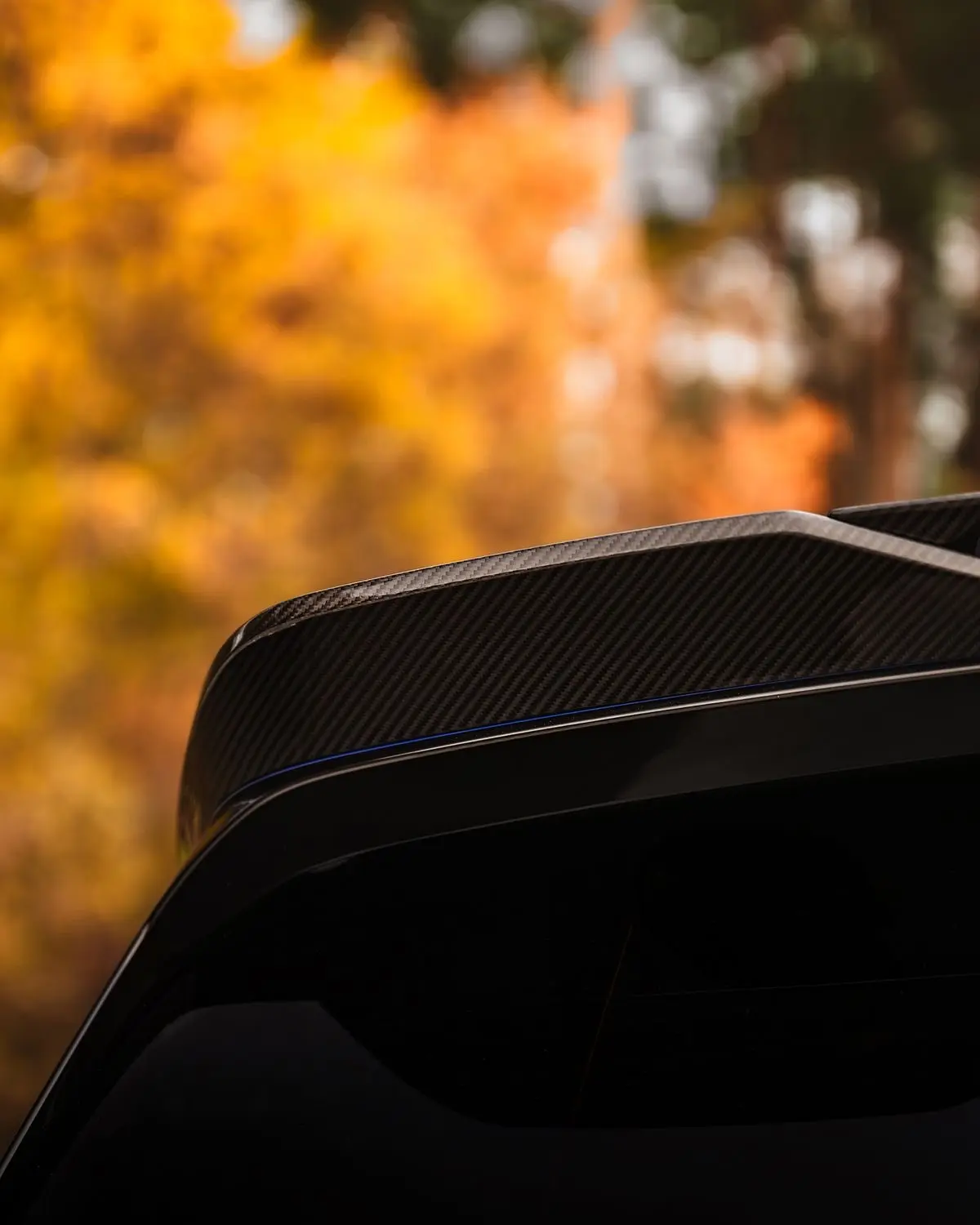 Carbon fibre